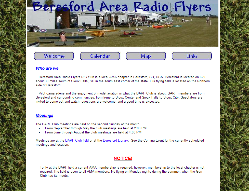 Bearsford Area Radio Flyers